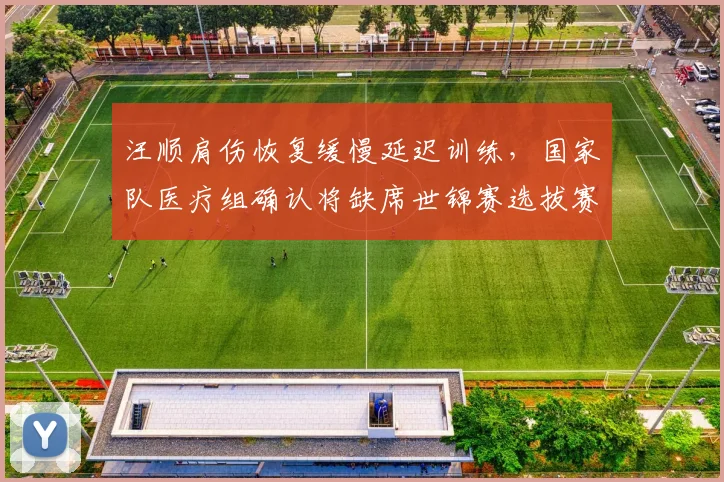 汪顺肩伤恢复缓慢延迟训练，国家队医疗组确认将缺席世锦赛选拔赛