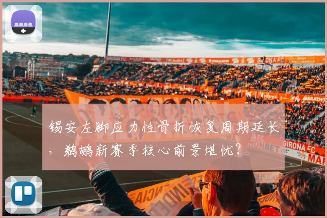 锡安左脚应力性骨折恢复周期延长，鹈鹕新赛季核心前景堪忧？